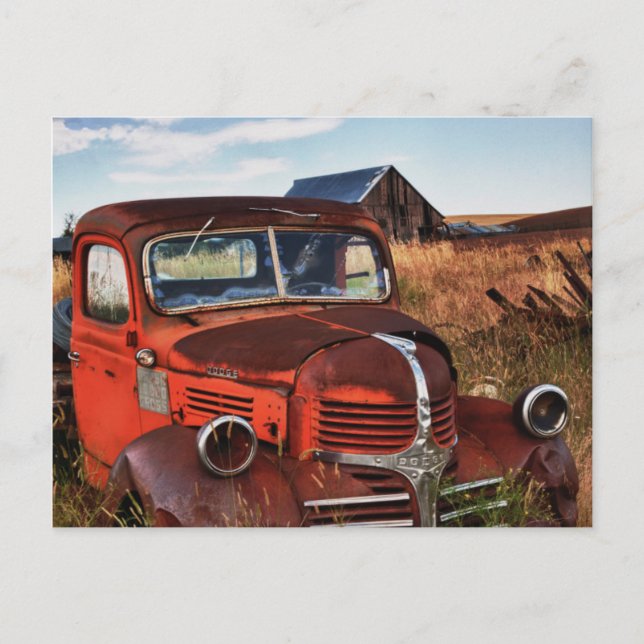 Rusting orange Dodge truck with abandoned farm Postcard (Front)