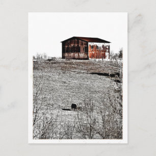 Rusty barn postcard