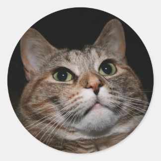 Rusty Classic Round Sticker