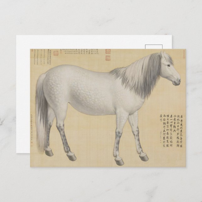 Ruyi cong("As-You-Wish" Piebald) Fine Art Postcard (Front/Back)