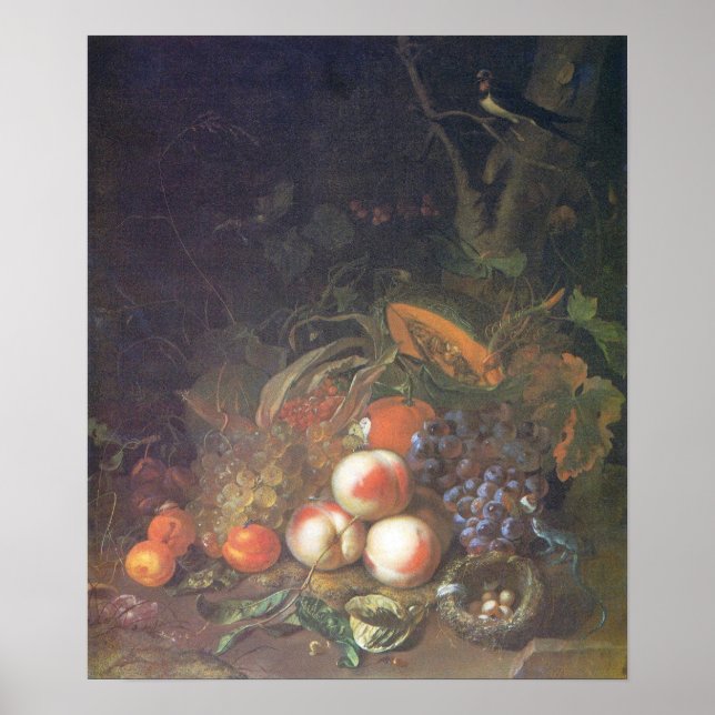 Ruysch - Fruit, Still Life With A Bird's Nest Poster (Front)