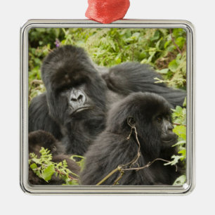 Rwanda, Volcanoes National Park Metal Tree Decoration