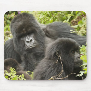 Rwanda, Volcanoes National Park Mouse Pad