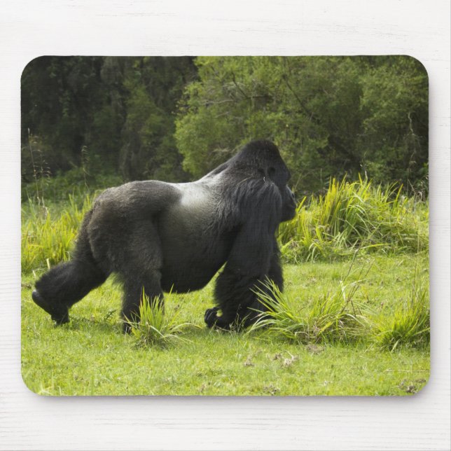 Rwanda, Volcanoes National Park Mouse Pad (Front)