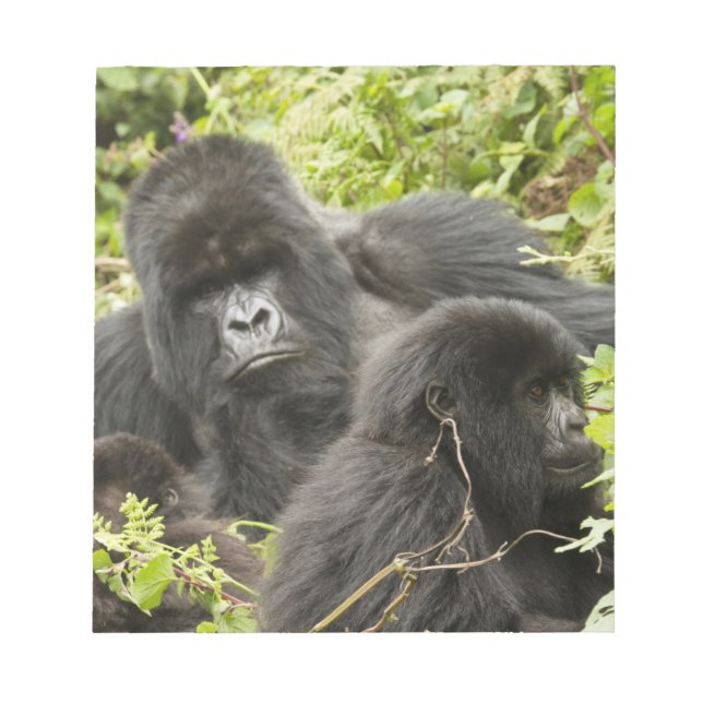Rwanda, Volcanoes National Park Notepad (Front)