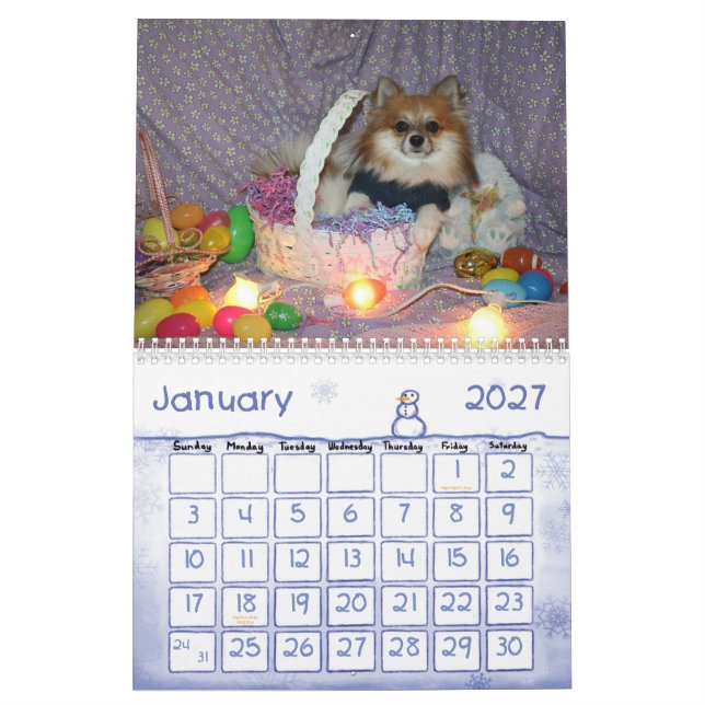 Ryder the pom Calendar (Jan 2027)