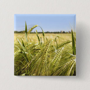 Rye 15 Cm Square Badge