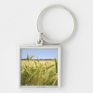 Rye Grain Botanical Nature Key Ring