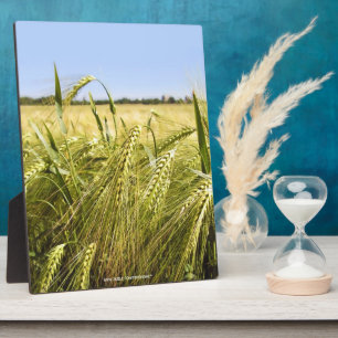 Rye Grain Botanical Nature Plaque