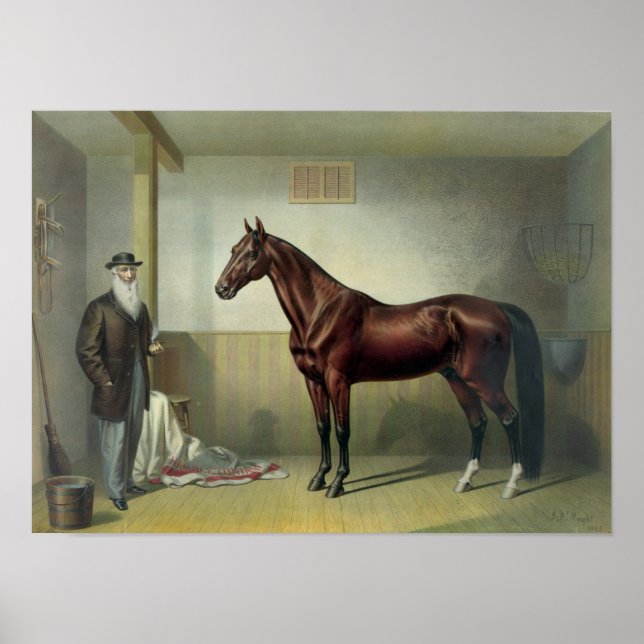 Rysdyk's Hambletonian - 1876 Poster (Front)