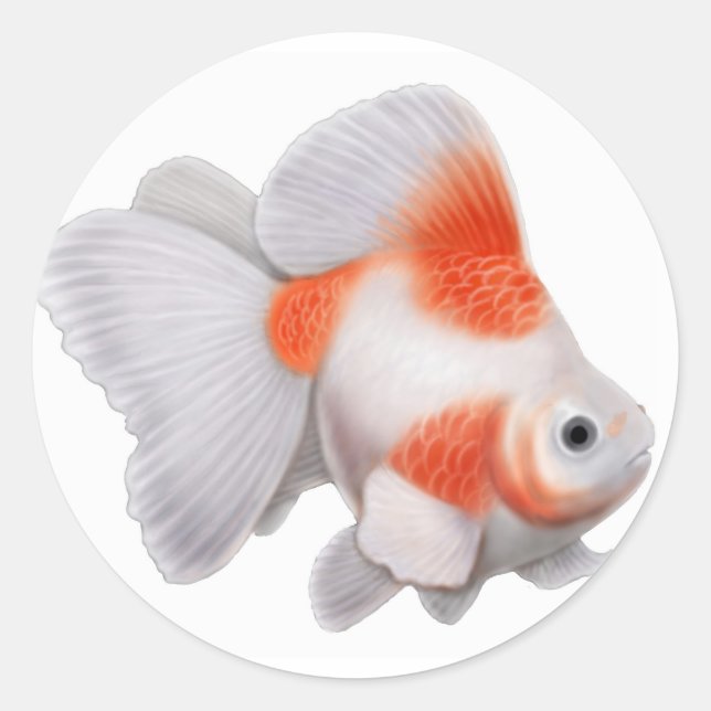Ryukin Goldfish Sticker (Front)