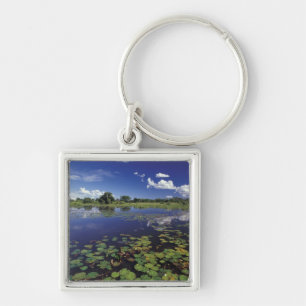 S.A., Brazil, Waterways in Pantanal Key Ring