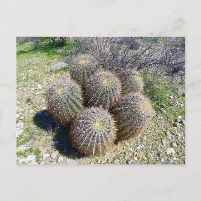 S I X POSTCARD (Front)