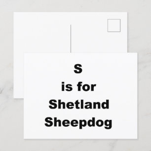 S Is For Shetland Sheepdog Postcard