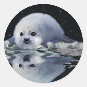 S.O.S. Save Our Harp Seals Wildlife Supporter