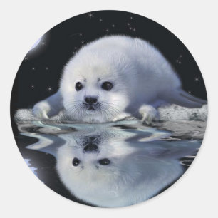S.O.S. Save Our Harp Seals Wildlife-supporter