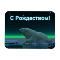 S Rozhdestvom - Ice Edge Polar Bear