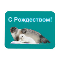 S Rozhdestvom - Ringed Seal