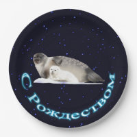 S Rozhdestvom - Ringed Seal