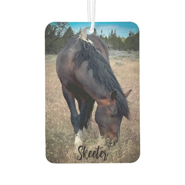 S Steens Stallions Air Freshener (Back)