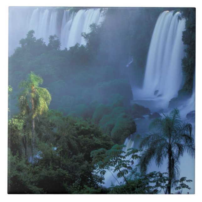 SA, Brazil, Parana State; Iguacu NP, Iguacu Tile (Front)