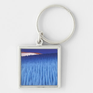 SA, Chile, Coquimbo Region, Nieve Penitente; Key Ring
