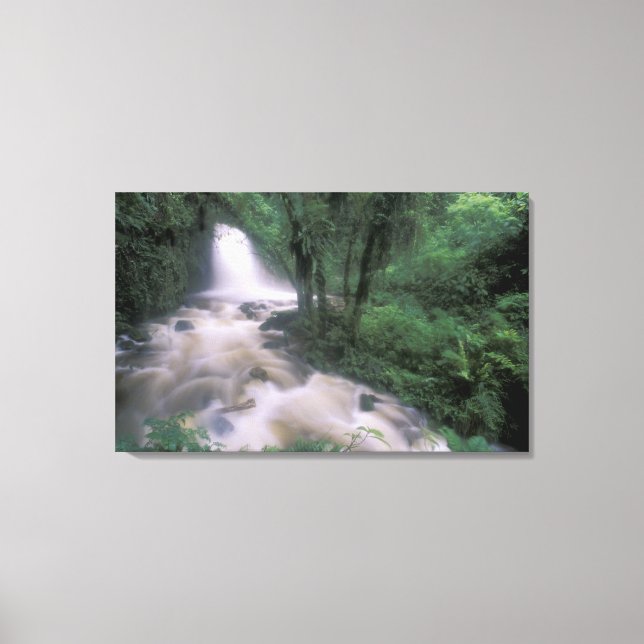 SA, Peru, S.H. Machu Picchu, Cascade and cloud Canvas Print (Front)