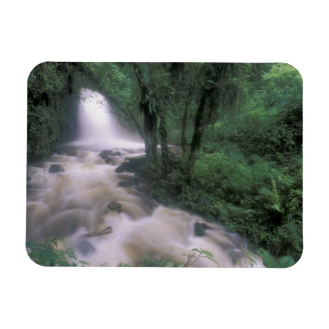 SA, Peru, S.H. Machu Picchu, Cascade and cloud Magnet (Horizontal)
