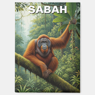 Sabah Malaysia Orangutan Travel Magnet