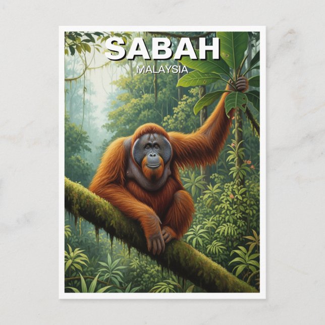 Sabah Malaysia Orangutan Travel Postcard (Front)