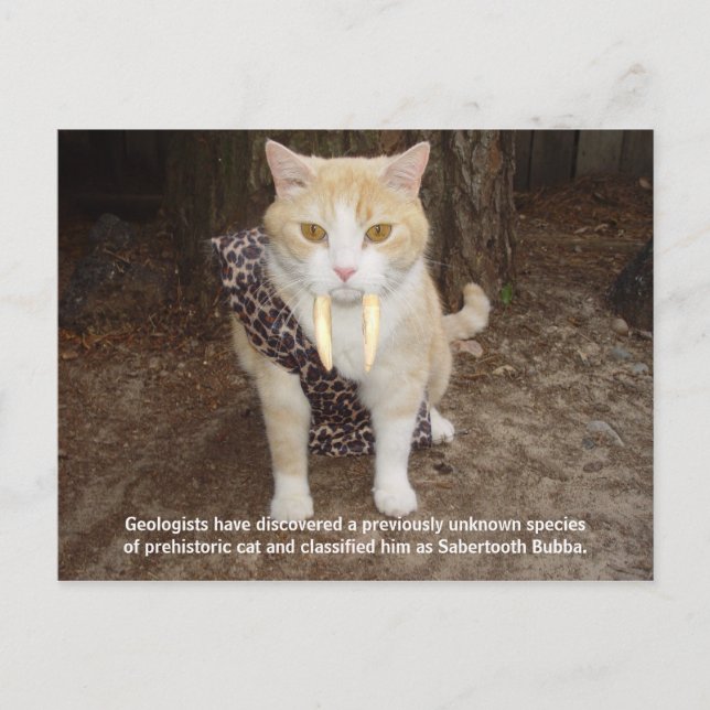 Sabertooth Bubba Postcard (Front)