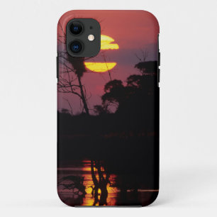 Sabi River At Sunset, Kruger National Park iPhone 11 Case