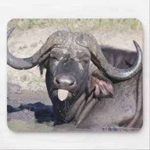 Sabi Sands Conservancy, Mpumalanga Province, 2 Mouse Pad