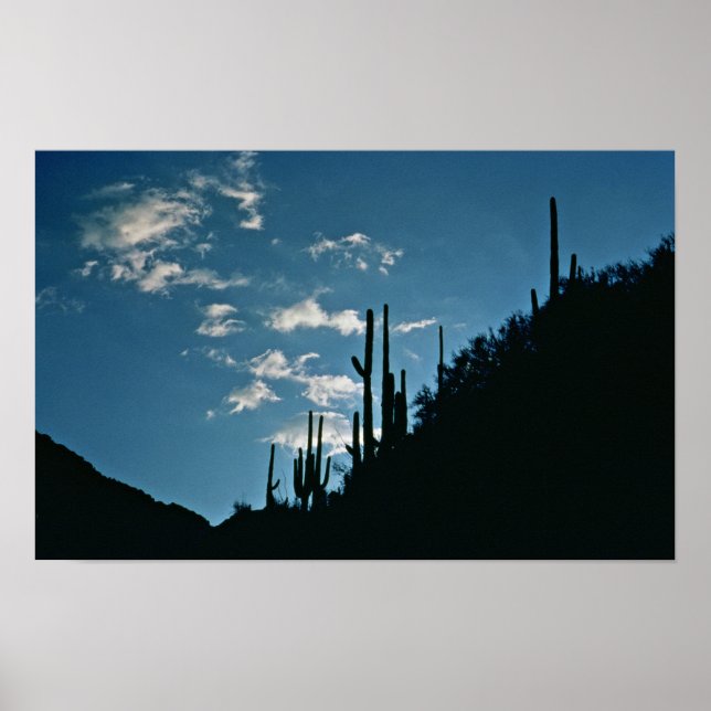 Sabino Canyon, Arizona Poster (Front)