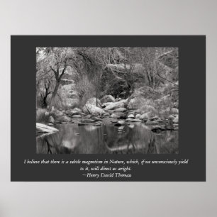 Sabino Canyon Creek - Thoreau Canvas Print