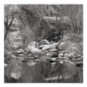 Sabino Creek in Winter Photo Print