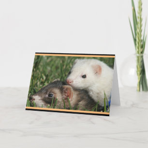 Sable and White Friends Ferrets Holiday Card