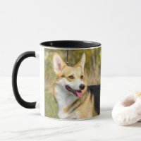 Sable Cardigan Welsh Corgi Dog
