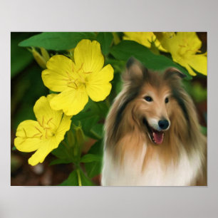 Sable Collie Yellow Primrose Dog Art Poster