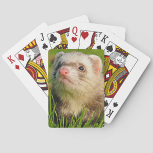 Sable Ferret in the Grass Playing Cards