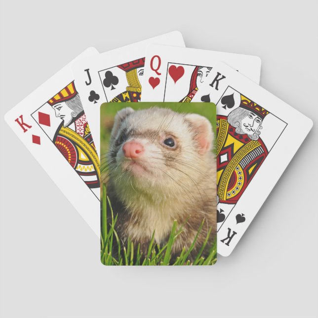 Sable Ferret in the Grass Playing Cards (Back)