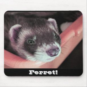 Sable Ferret Mousepad
