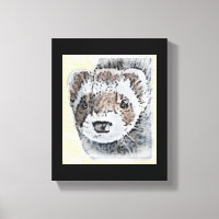 Sable Ferret Picture