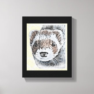 Sable Ferret Picture Canvas Print