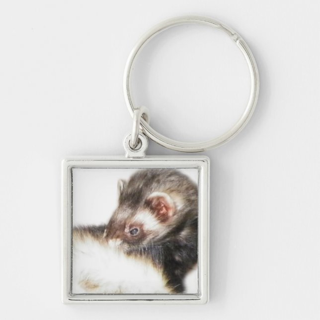 Sable Ferret Picture Key Ring (Front)