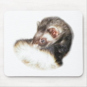 Sable Ferret Picture Mouse Pad