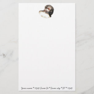 Sable Ferret Picture Stationery