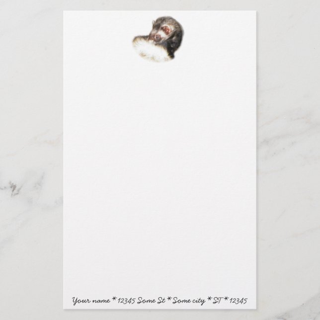 Sable Ferret Picture Stationery (Front)