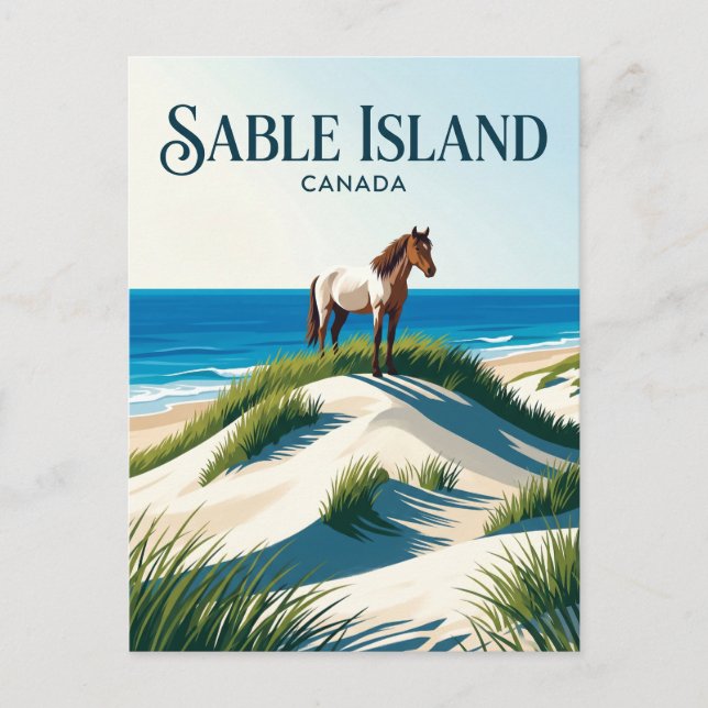 Sable Island National Park Reserve Canada Postcard (Front)