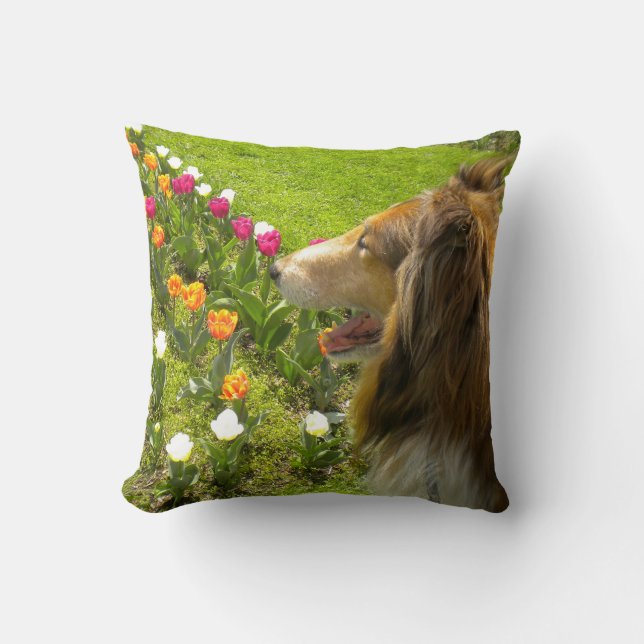 Sable Rough Collie and Tulips Cushion (Front)